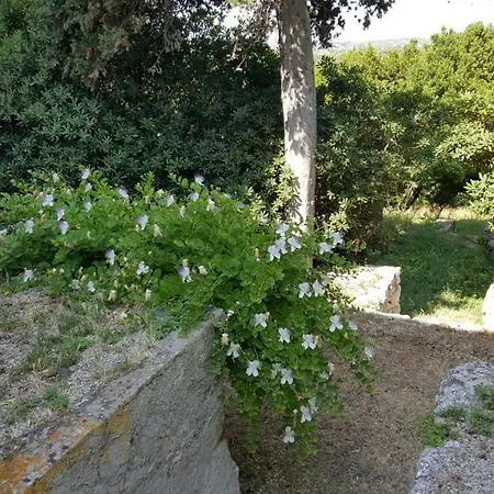 Le Calle לינה וארוחת בוקר סאסארי