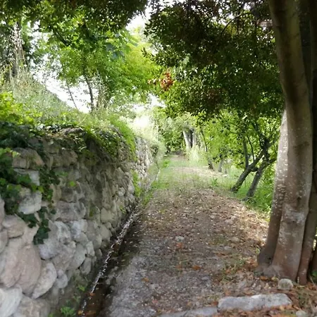 Le Calle *